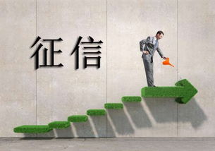 借貸寶是否上征信？互聯網接入及相關服務解析